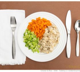 chicken   rice   5066   tabletop